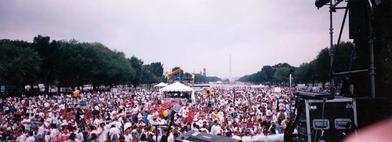 !!DCCapitalLawn&full