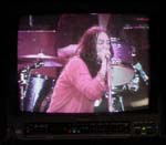 !!!blackcrowes199f